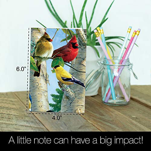 Tree-Free Greetings EcoNotes 12 Count Favorite Songbirds All Occasion Notecard Set with Envelopes, 4 x 6 Inches (FS66507) - Image 5