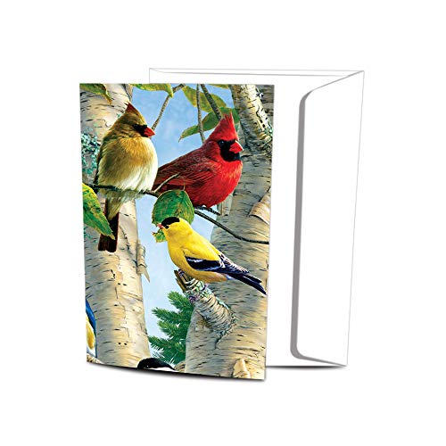 Tree-Free Greetings EcoNotes 12 Count Favorite Songbirds All Occasion Notecard Set with Envelopes, 4 x 6 Inches (FS66507) - Image 1