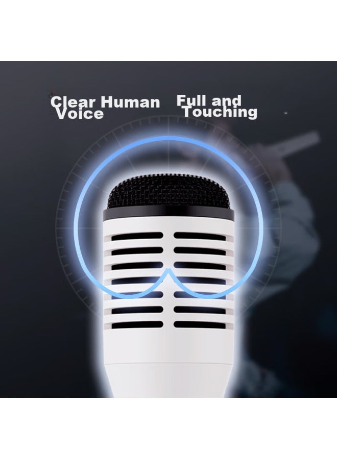 Takstar Hm-300w Wireless Handheld Microphone , Wireless Handheld Microphone, Teacher's Lapel Microphone, Amplifier, Speaker, Dedicated Receiver, Microphone - Image 3