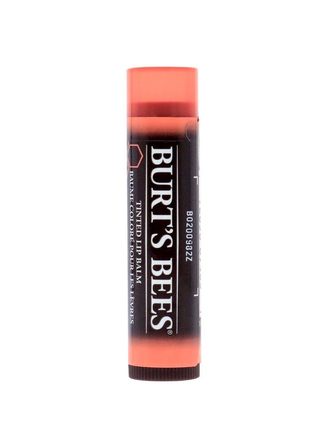 بيرتس بيز مرطب شفاه ملون طبيعي ١٠٠٪ من بيرتس بيز، برائحة الزينيا وزبدة الشيا والشمع النباتي - أنبوب واحد - Image 1