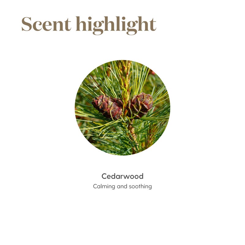 Young Living Cedarwood Essential Oil 15ml, for Healthy Skin, Hair, and Scalp, Unlock the Power of Pure, Calming and Soothing - Image 5