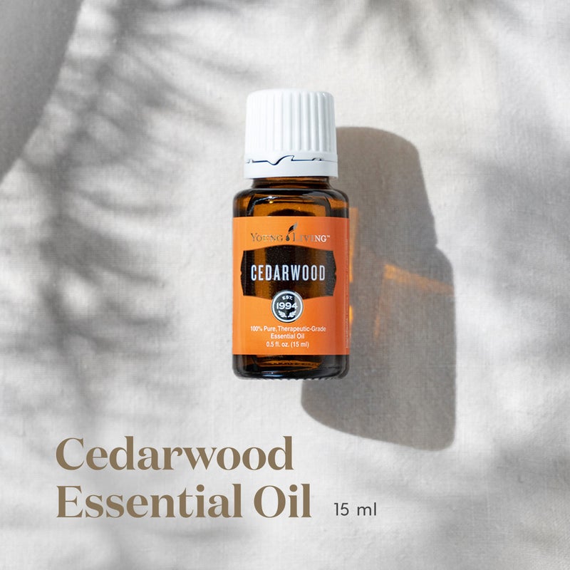 Young Living Cedarwood Essential Oil 15ml, for Healthy Skin, Hair, and Scalp, Unlock the Power of Pure, Calming and Soothing - Image 2