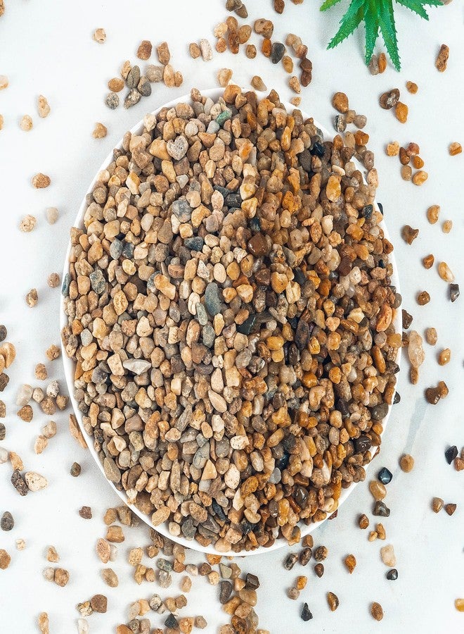 VINICS 2 lbs Aquarium Gravel, 3-6mm Fish Tank Gravel, Succulent Cactus Pea Gravel for Indoor Plants, River Rocks for Gardening, Flower Pots, Vase Fillers, Garden Landscaping - Image 1