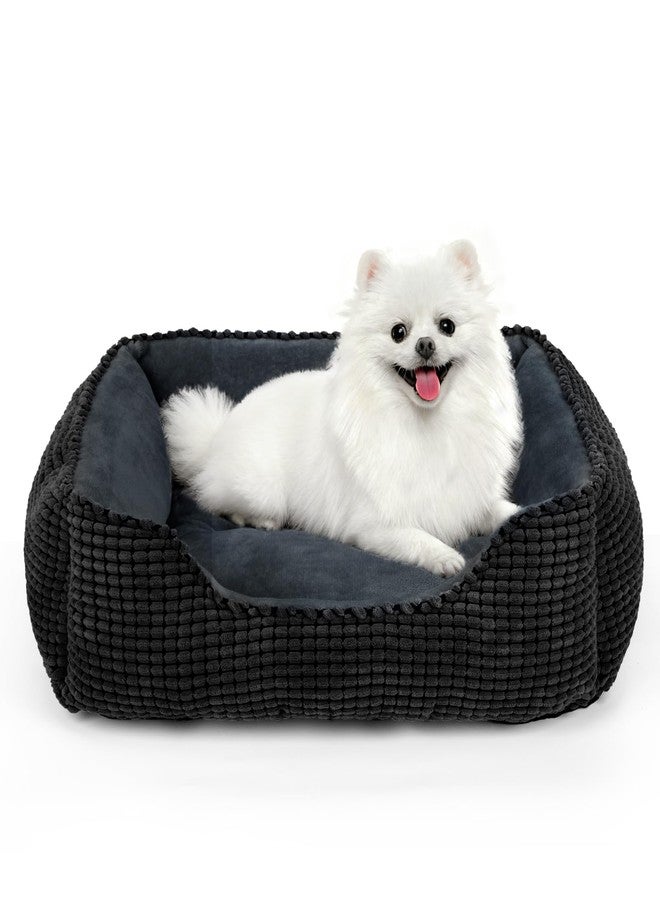 MIXJOY Dog Beds for Medium Dogs Washable, Rectangle Pet Bed Medium Size Dog, Orthopedic Sleeping Pet Sofa Bed, Soft Calming Cat Beds for Indoor Cats, Anti-Slip Bottom with Multiple Size - Image 1