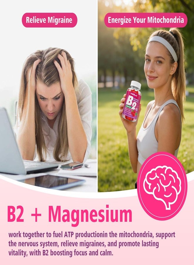YUULAI Vitamin B2 Gummies 400mg | Riboflavin Supplement with Magnesium for Kids & Adults, B2 Gummies for Migraine Relief, Nervous System & Skin Health, Vegan, Sugar-Free, Raspberry Flavor, 60 Count - Image 3