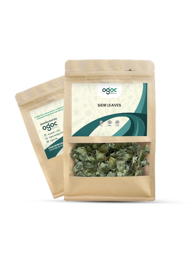 OGOC Dried Sidr Leaves Jujube Leaves Ziziphus Leaves Natural Dried Leaves Aromatic Herbal Leaves Cooking Traditional Use Infusions Seasoning - Image 5