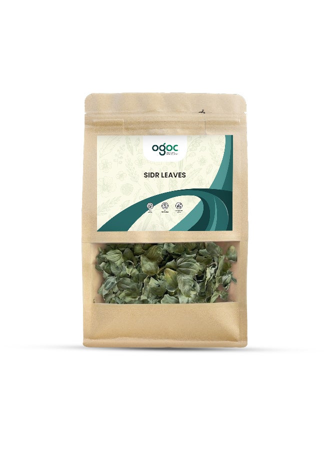 OGOC Dried Sidr Leaves Jujube Leaves Ziziphus Leaves Natural Dried Leaves Aromatic Herbal Leaves Cooking Traditional Use Infusions Seasoning - Image 1