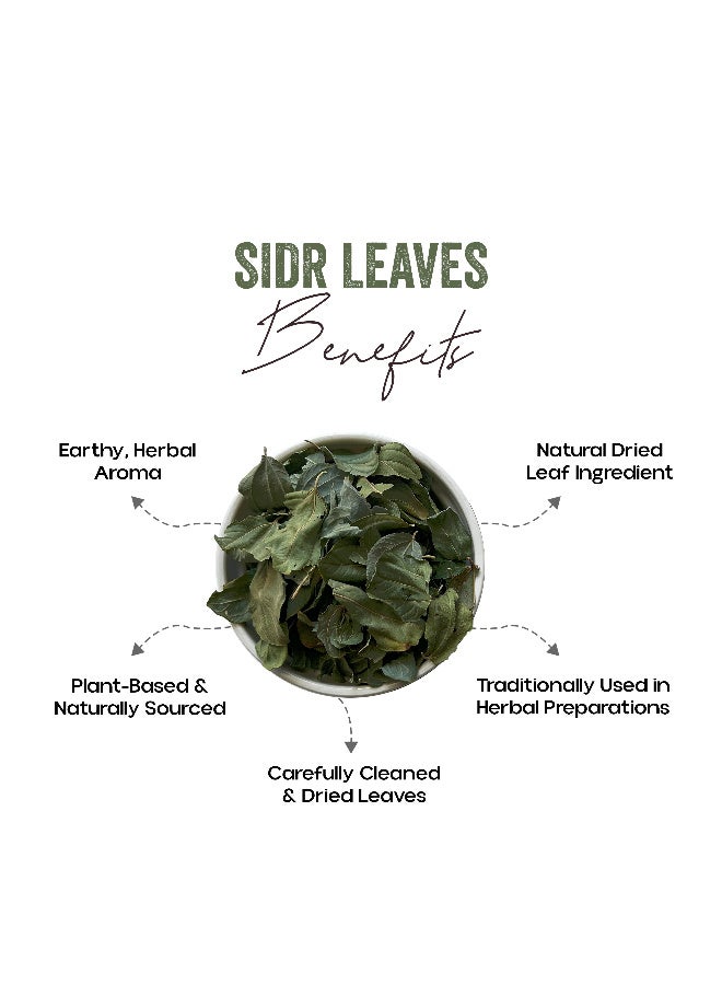 OGOC Dried Sidr Leaves Jujube Leaves Ziziphus Leaves Natural Dried Leaves Aromatic Herbal Leaves Cooking Traditional Use Infusions Seasoning - Image 2