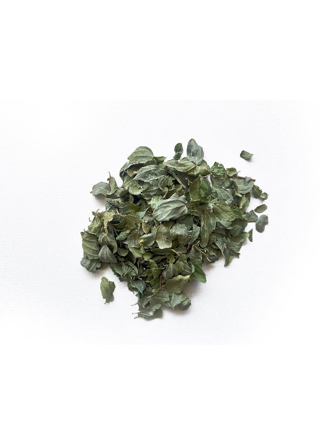 OGOC Dried Sidr Leaves Jujube Leaves Ziziphus Leaves Natural Dried Leaves Aromatic Herbal Leaves Cooking Traditional Use Infusions Seasoning - Image 4