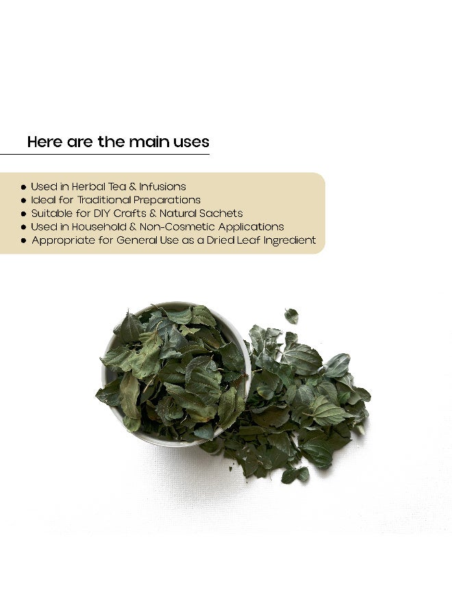 OGOC Dried Sidr Leaves Jujube Leaves Ziziphus Leaves Natural Dried Leaves Aromatic Herbal Leaves Cooking Traditional Use Infusions Seasoning - Image 3