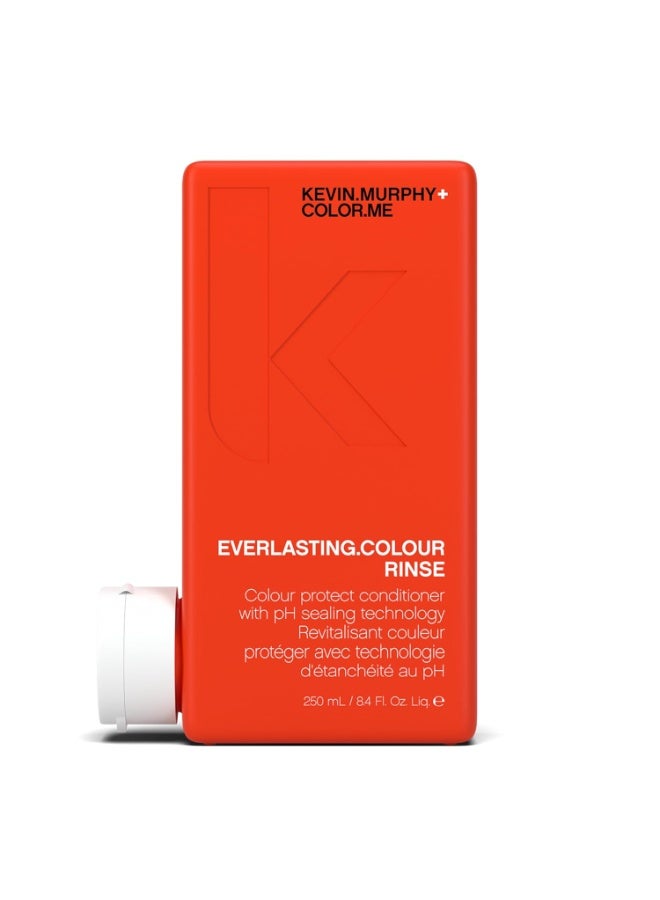 KEVIN.MURPHY EVERLASTING.COLOUR RINSE - Hair Colour Conditioner - Colour Protect Hair Care - pH Balanced Conditioner - Sulphate Free - - Image 2