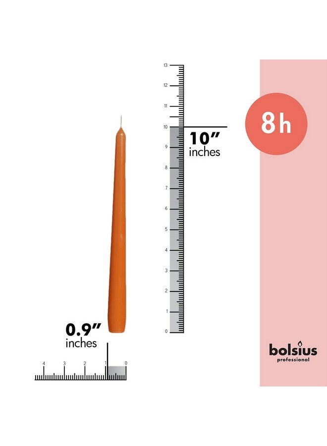 BOLSIUS شموع بولسيوس البرتقالية - مجموعة 4 قطع من الشموع السميكة غير المعطرة بطول 10 بوصات - مدة احتراق 8 ساعات - جودة أوروبية ممتازة - خالية من الدخان وقطرات - شموع منزلية لحفلات الزفاف، الحفلات، وزينة المنزل - Image 2