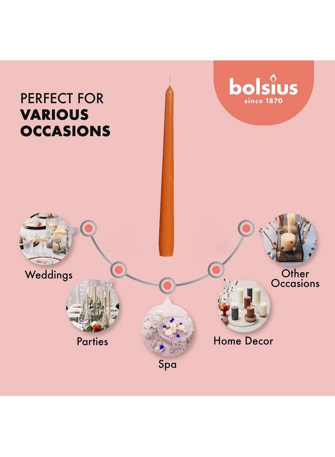 BOLSIUS شموع بولسيوس البرتقالية - مجموعة 4 قطع من الشموع السميكة غير المعطرة بطول 10 بوصات - مدة احتراق 8 ساعات - جودة أوروبية ممتازة - خالية من الدخان وقطرات - شموع منزلية لحفلات الزفاف، الحفلات، وزينة المنزل - Image 4