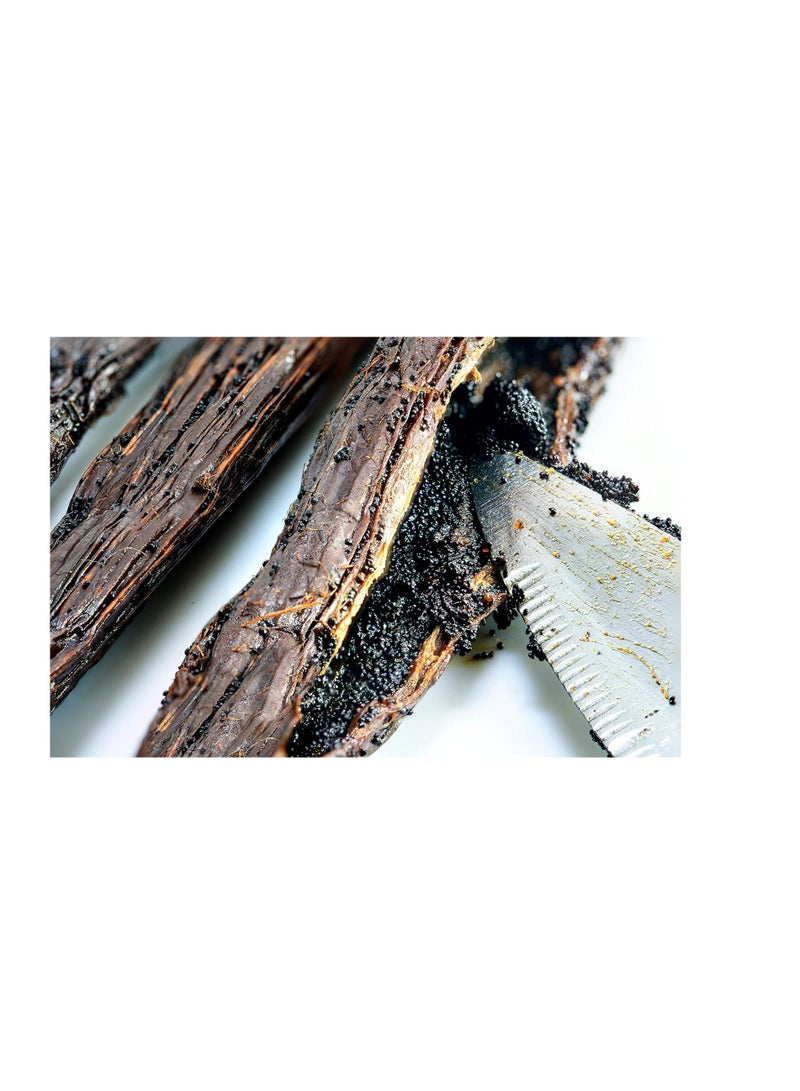 madagascar Pure Vanilla extract 4oz - Image 4
