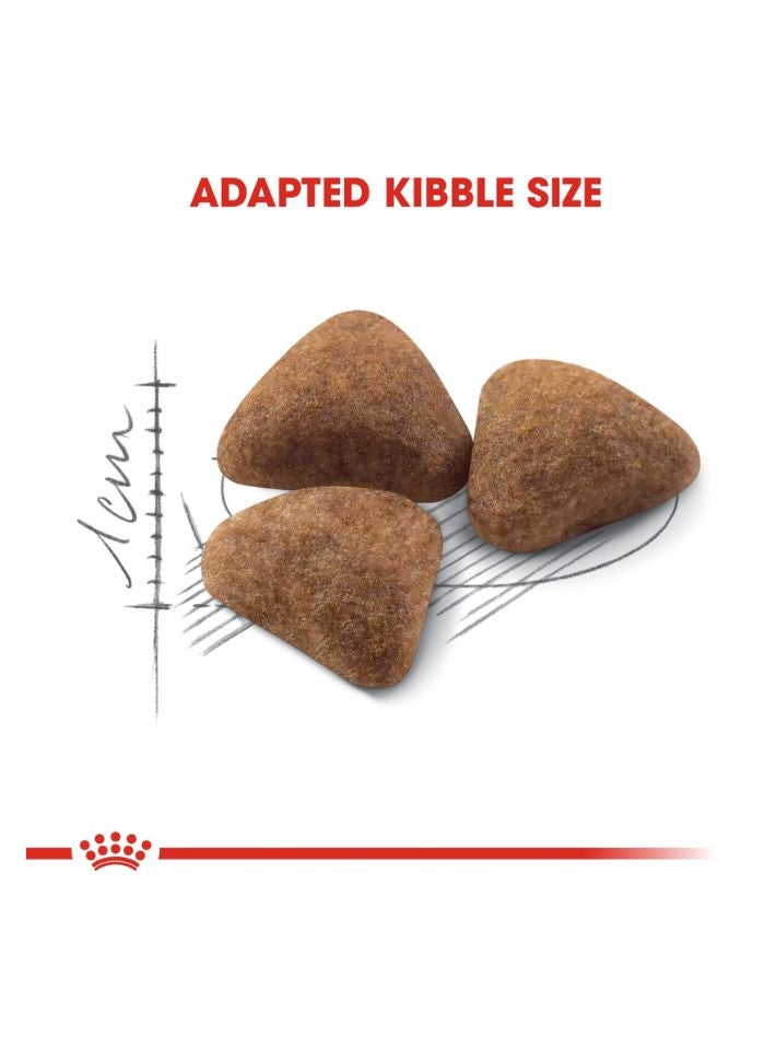 ROYAL CANIN تغذية صحة القطط الداخلية 4 كجم - Image 5