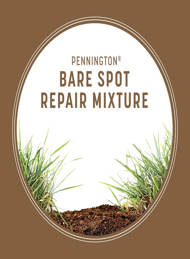 Pennington Bare Spot Repair Penkoted Grass Seed Mixture Central 1 lb - Image 3