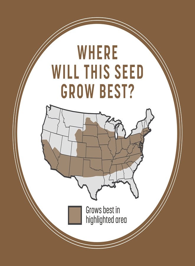 Pennington Bare Spot Repair Penkoted Grass Seed Mixture Central 1 lb - Image 4