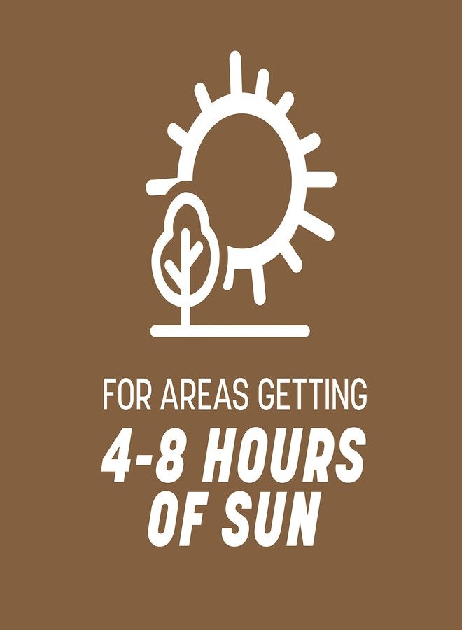 Pennington Bare Spot Repair Penkoted Grass Seed Mixture Central 1 lb - Image 5