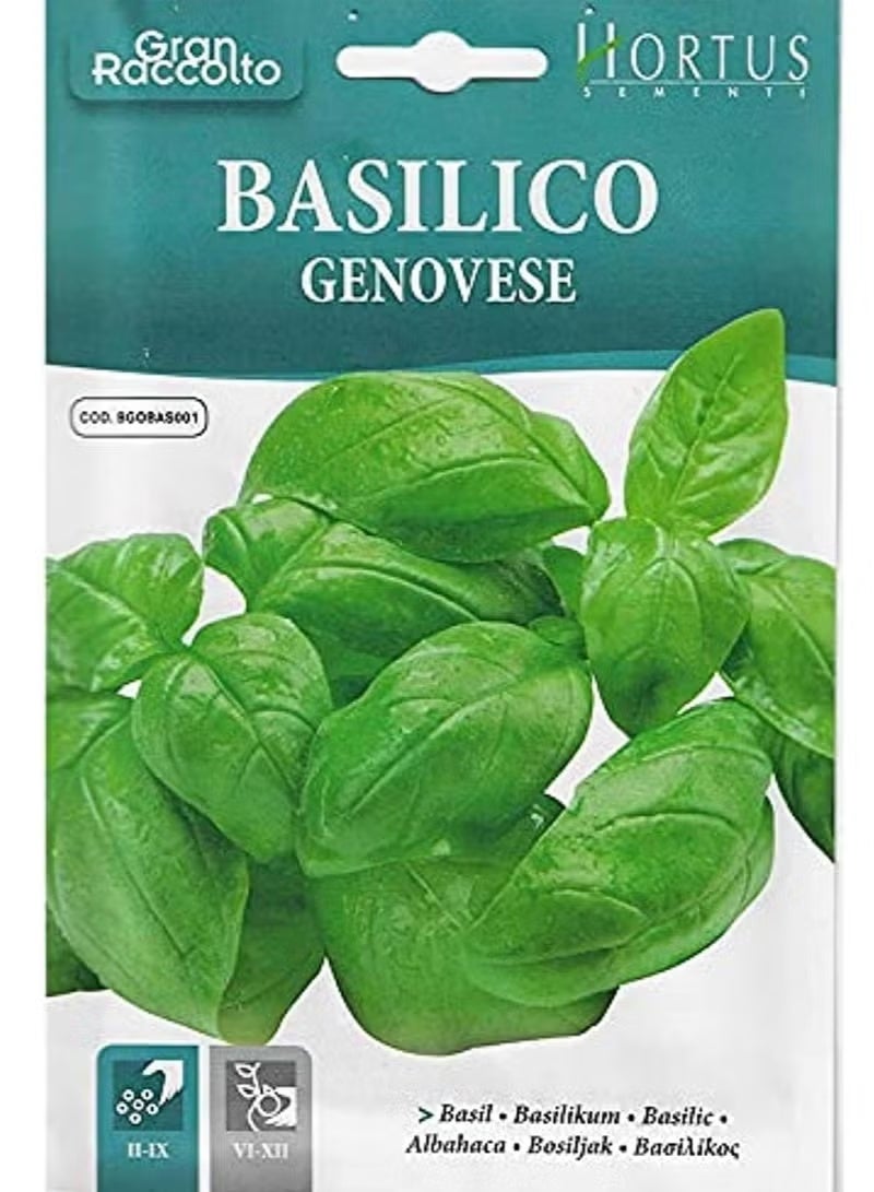 هورتس بذور هورتوس باسل عالية الجودة باسيليكو جينوفيز مصنوعة في إيطاليا