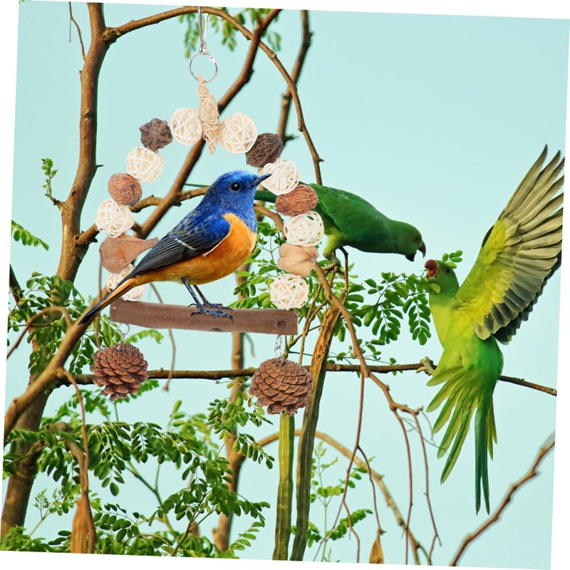 Swing Parrot Chewing Toy Fruit Vine Perch for Exercise and Decompression - Image 5