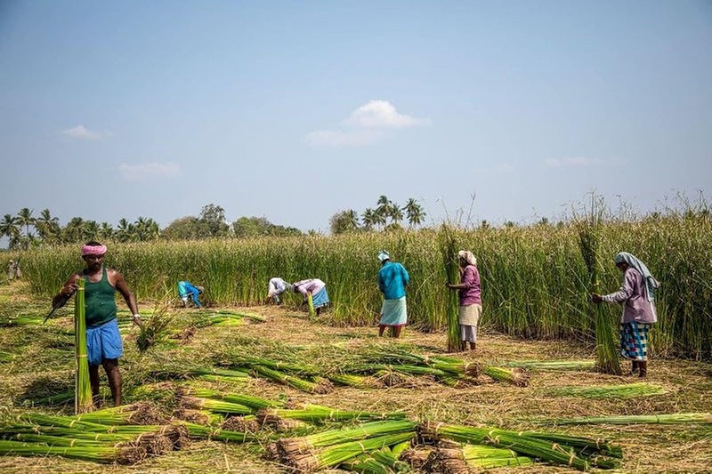Jayam Traditional Korai Floor Mat Multi Design Blue Color Mat Chatai Carpet 6 x 35 Feet - Image 2