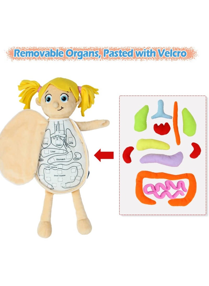 Excefore Human Body Anatomy Toy, Preschool Educational Organ Plush Toys for Kids, Science Learning Kits for Student, Body Organ Awareness Teaching Tools,Girl - Image 4