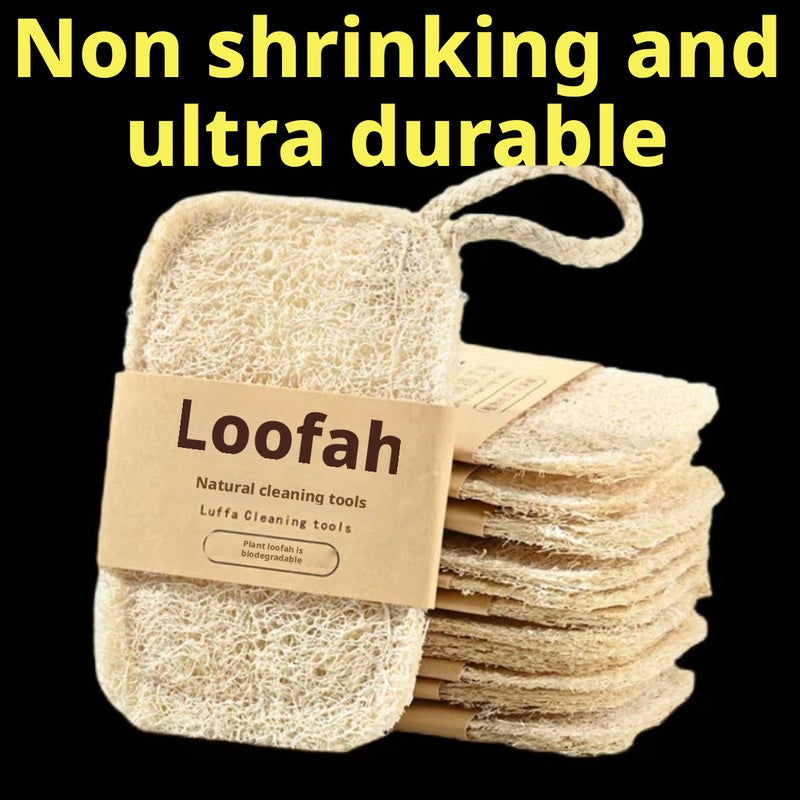 Natural Loofah Dish Sponge - Image 3