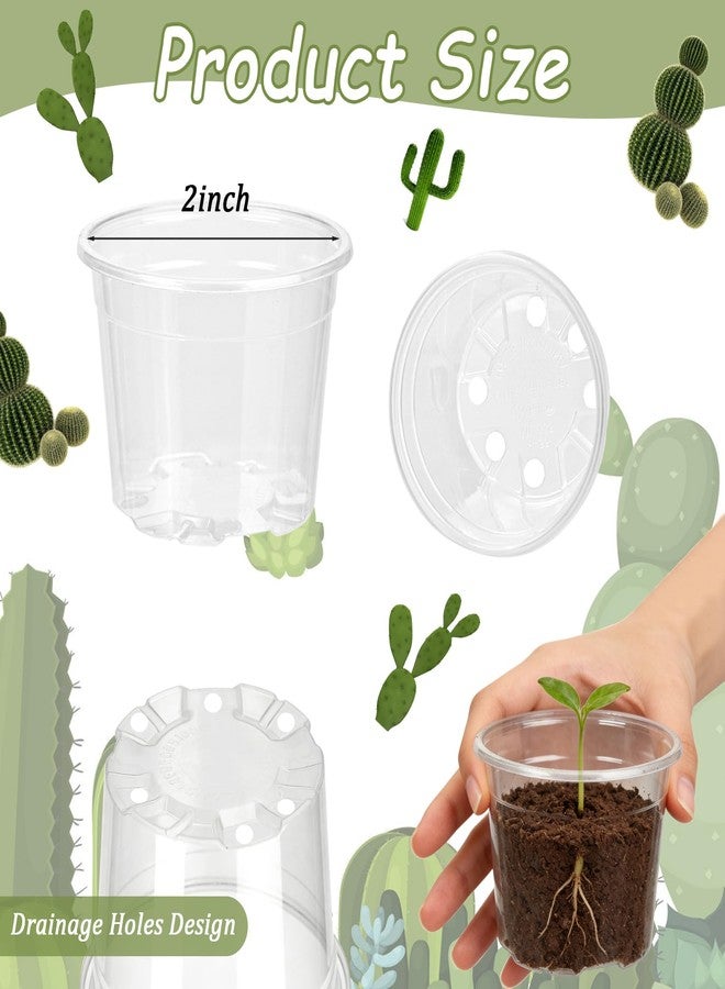 TINSKY 200 Pcs 2 Inch Clear Nursery Pots with Drainage Holes Mini Plastic Plant Pots for Seedling Seeds Germination Transplanting Seeds Starter Planting Indoor Outdoor Succulent - Image 4