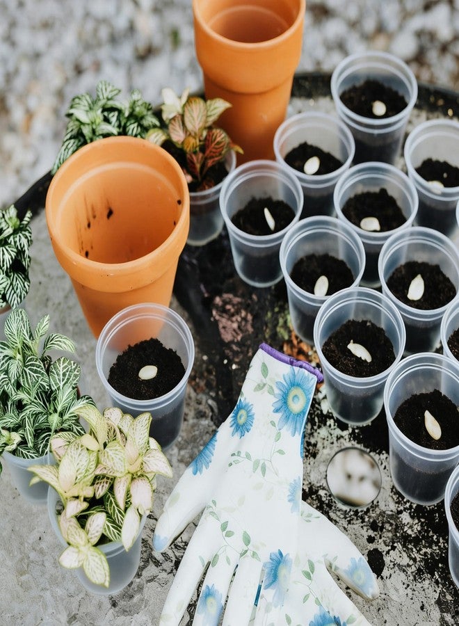 TINSKY 200 Pcs 2 Inch Clear Nursery Pots with Drainage Holes Mini Plastic Plant Pots for Seedling Seeds Germination Transplanting Seeds Starter Planting Indoor Outdoor Succulent - Image 5