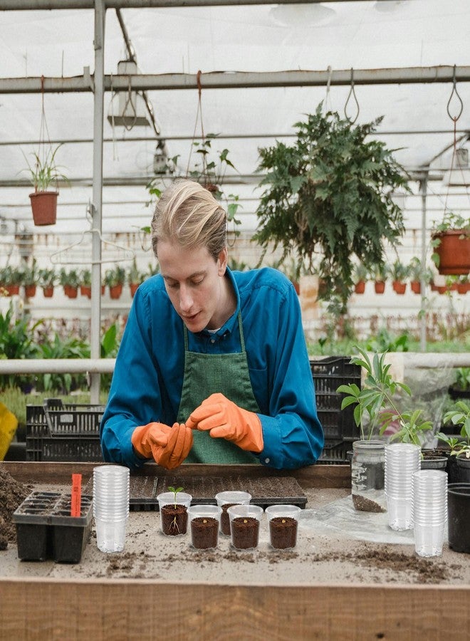 TINSKY 200 Pcs 2 Inch Clear Nursery Pots with Drainage Holes Mini Plastic Plant Pots for Seedling Seeds Germination Transplanting Seeds Starter Planting Indoor Outdoor Succulent - Image 3