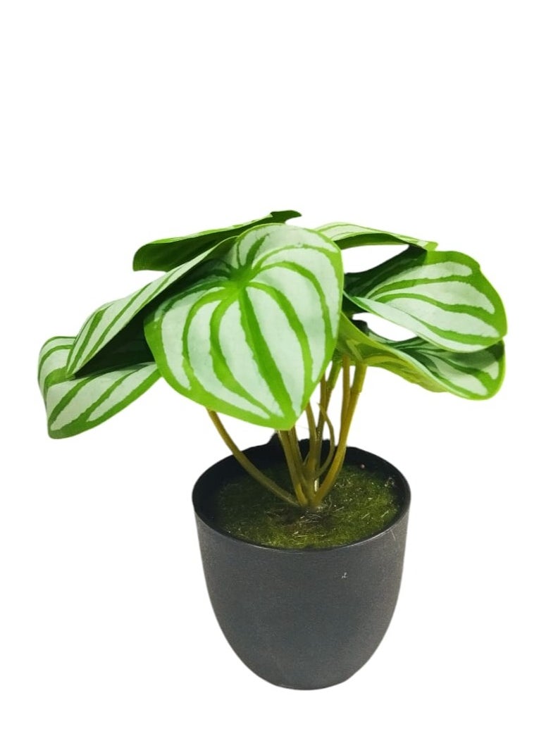ماركة غير محددة نباتات اصطناعية صغيرة صناعية ديكور صناعي للمنزل وغرفة النوم وغرفة المعيشة الجمالية والحمام وديكور المزرعة في الأماكن المغلقة  - Image 4