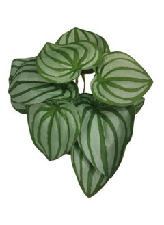 Generic Artificial Small Fake Plants Artificial Decor for Home Bedroom Aesthetic Living Room Bathroom Farmhouse Decor Indoor  - Image 5