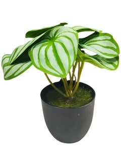 Generic Artificial Small Fake Plants Artificial Decor for Home Bedroom Aesthetic Living Room Bathroom Farmhouse Decor Indoor  - Image 1