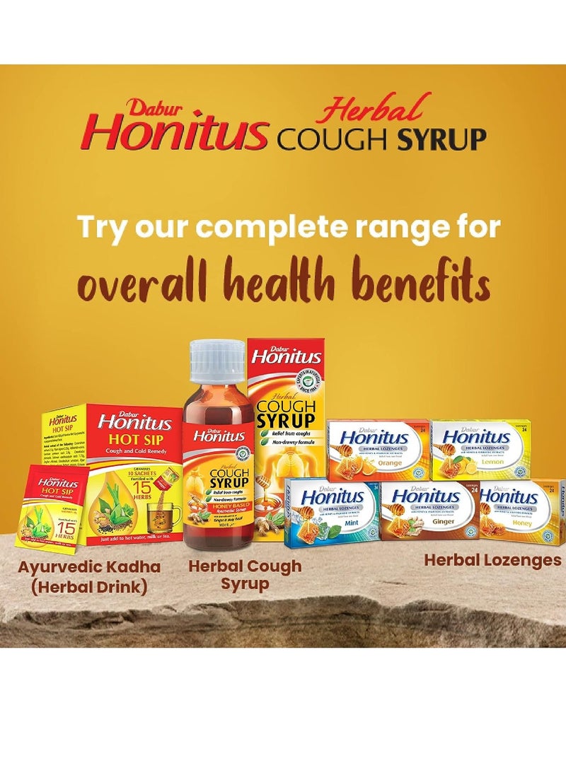 Honitus Cough Syrup 100 Ml - pzsku/Z45FBB0D13D981A4A8110Z/45/_/1692698949/583e0258-57d1-48f1-aa6c-90abac903bd7