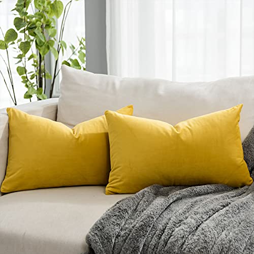 QUAFOO Lemon Decorative Lumbar Velvet Throw Pillow Covers 16x24 inch Set of 2 with Zipper Luxury Soft Solid Rectangle Cushion Covers Case for Sofa Couch Bed Living Room
