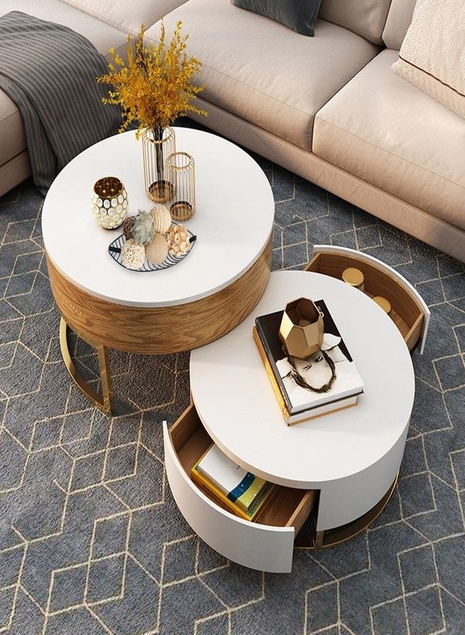 CIR OASES كرات زينة كروية متنوعة من CIR OASES، 6 قطع، بنية وبيضاء، مصنوعة من أغصان طبيعية ريفية من الروطان، كرات قطنية منسوجة، مثالية لتزيين المزهريات والأوعية والطاولات والحفلات المنزلية وحفلات الزفاف... - Image 4