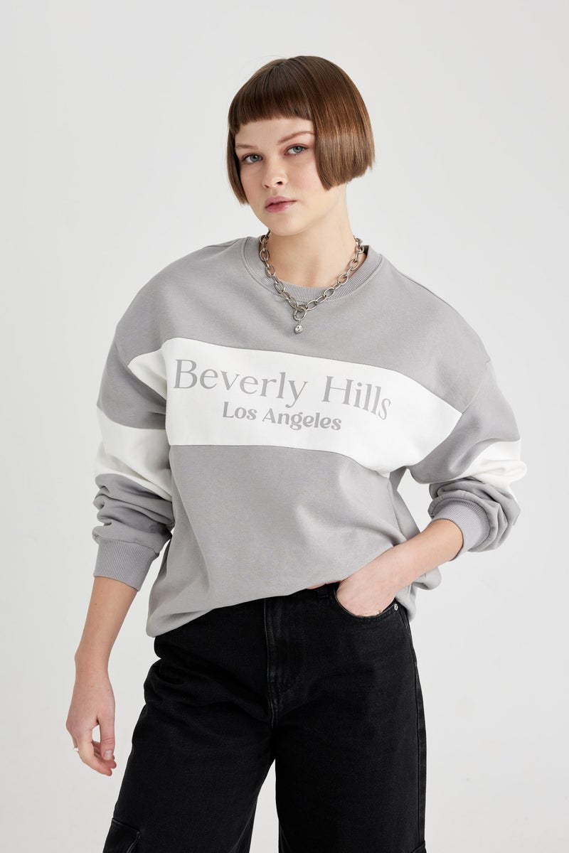 DeFacto Woman Relax Fit Crew Neck Printed Thick Sweatshirt  - Image 2