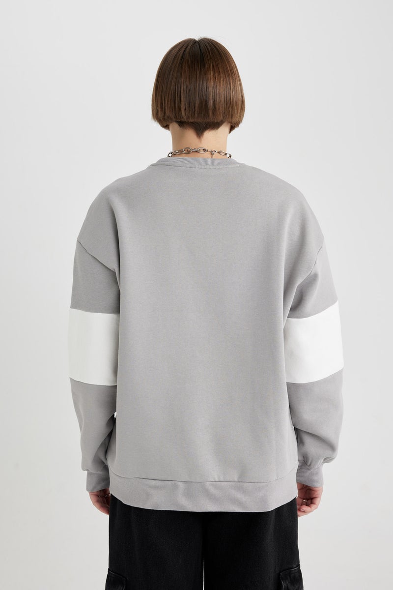 DeFacto Woman Relax Fit Crew Neck Printed Thick Sweatshirt  - Image 4