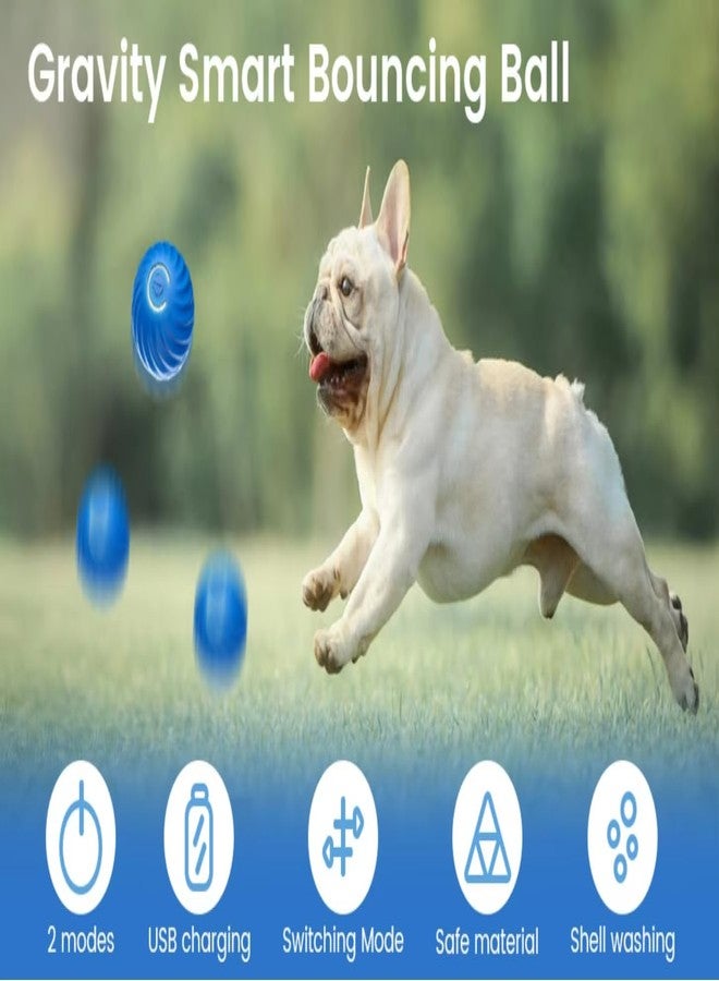Mario’s Choice Interactive Cat Ball Toy – Rolling Light-Up Play Ball for Indoor Cats, Durable & Rechargeable - Image 2