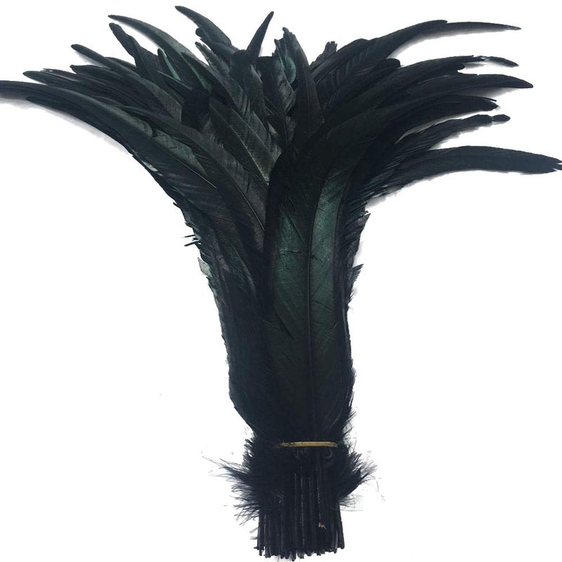 Shekyeon 1618inch 4045cm Rooster Coque Tail Feather for Costume Decoration Pack of 20 Black