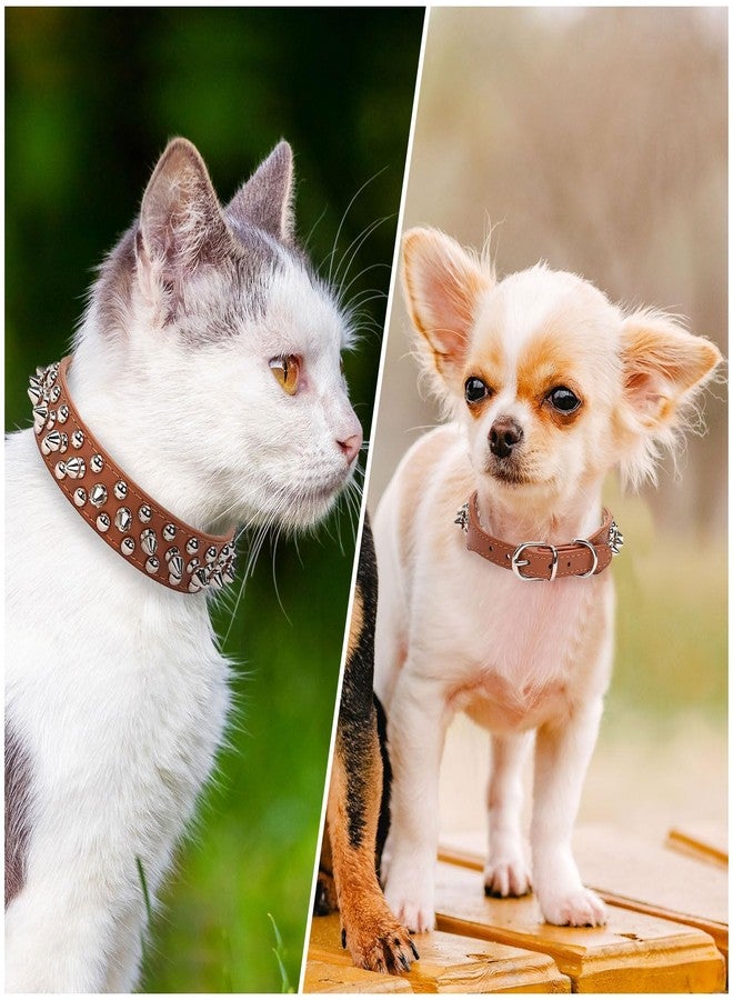 Exo Terra Dragon Grub Adult 8.8 oz - High-Protein Bearded Dragon Food with Black Soldier Fly Larvae - Nutrient-Rich, Insect-Based Pellets for Insect-Eating Reptiles, Supports Bone & Digestive Health - Image 2