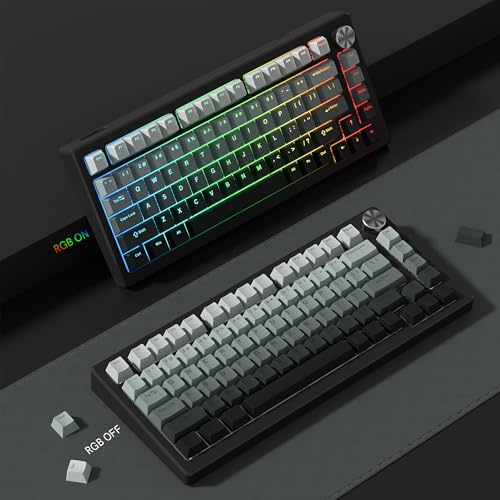 Rainy75 PBT Key caps, Double Shot Shine Through Custom Keycaps, Gradient Keycaps Cherry Profile, Minimalist Style Keyboard Keycap for Mechanical Keyboard (Grey) - Image 5