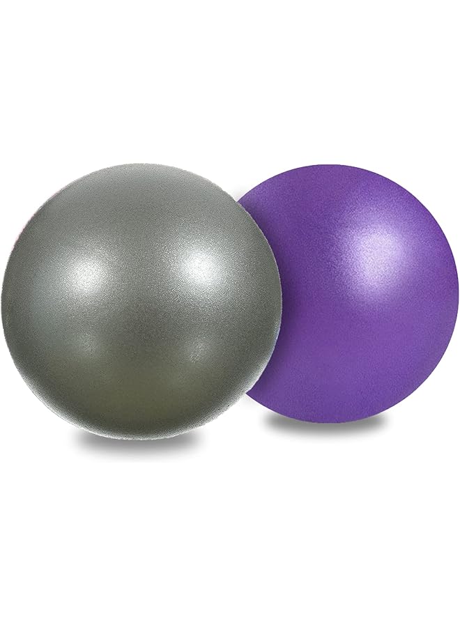 PROMASS Mini Exercise Barre Ball 9 Inch for Yoga,Pilates,Stability Therapy, Body Balance Physical Core Training Gym Anti Burst and Slip Resistant Balls with Inflatable Straw Purple Gray  - Image 1