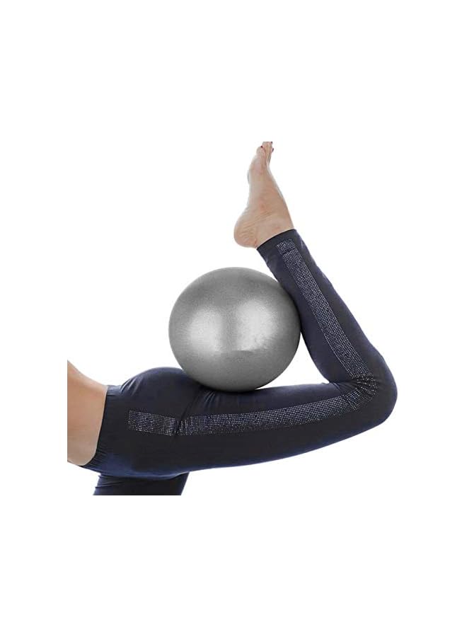 PROMASS Mini Exercise Barre Ball 9 Inch for Yoga,Pilates,Stability Therapy, Body Balance Physical Core Training Gym Anti Burst and Slip Resistant Balls with Inflatable Straw Purple Gray  - Image 2