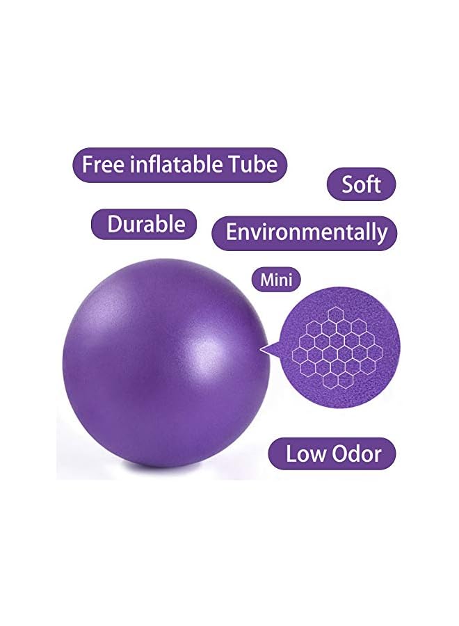PROMASS Mini Exercise Barre Ball 9 Inch for Yoga,Pilates,Stability Therapy, Body Balance Physical Core Training Gym Anti Burst and Slip Resistant Balls with Inflatable Straw Purple Gray  - Image 5