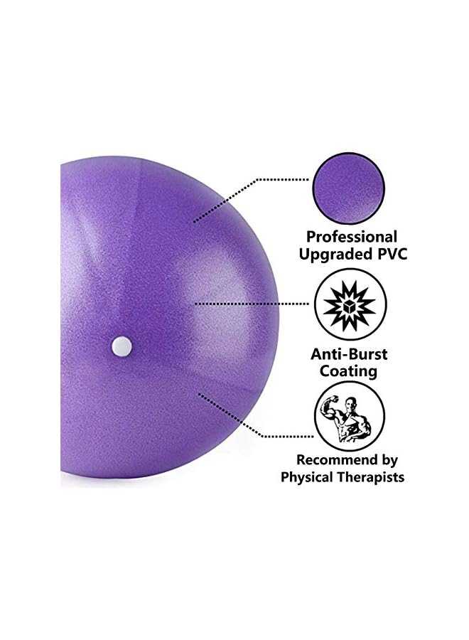 PROMASS Mini Exercise Barre Ball 9 Inch for Yoga,Pilates,Stability Therapy, Body Balance Physical Core Training Gym Anti Burst and Slip Resistant Balls with Inflatable Straw Purple Gray  - Image 4
