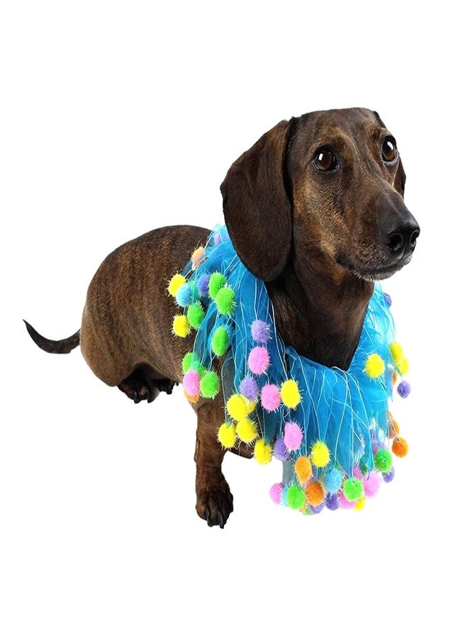 Midlee Blue Birthday Pom Pom Dog Collar (Small) - Image 3