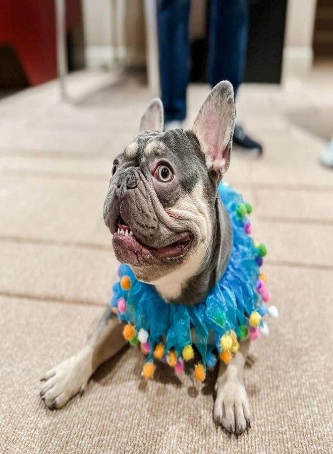 Midlee Blue Birthday Pom Pom Dog Collar (Small) - Image 4
