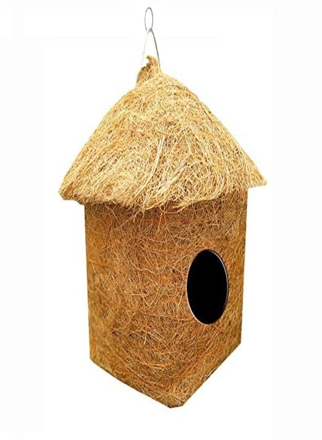 LIVEONCE Safest Organic Bird Nest Classic Hut Bird House Purely Handmade Nest for All Small Birds - (Small) - Image 1