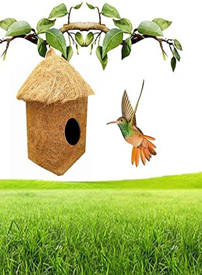 LIVEONCE Safest Organic Bird Nest Classic Hut Bird House Purely Handmade Nest for All Small Birds - (Small) - Image 4